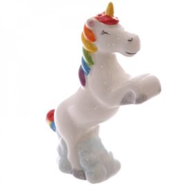 Peper en zout stel unicorn - eenhoorn met regenboog