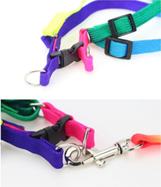 Kleurrijke regenboog tuigje + riem 120cm nylon voor kleine hond of kat