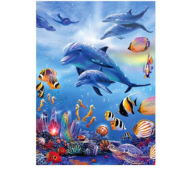 Diamond Painting dolfijnen 30x40 cm