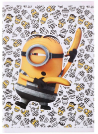 Minions set - schrift - kleuren balpen - potloden - gummen - stickers