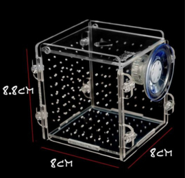 Guppytank / viskweekbakje met zuignap 8x8x8.8 cm