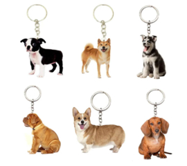 6 stuks sleutelhangers acryl honden