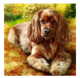 Diamond Painting - hobbypakket - hond 15x15 cm (vierkante steentjes)