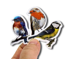 50 stuks stickers vogels