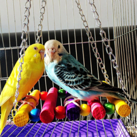 Pakket met 7 stuks kleurrijk vogelspeelgoed - parkieten en kleine papegaaien