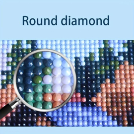 Diamond Painting - hobbypakket - Kolibrie 20x20 cm