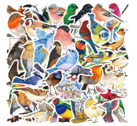 50 stuks stickers vogels 4-7 cm