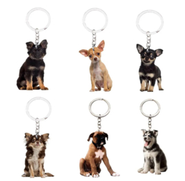 6 stuks sleutelhangers honden