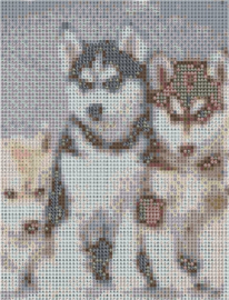 Diamond Painting Husky 40x60 cm (zonder lijst)