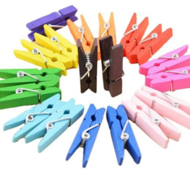 100 stuks mini knijpers 2,5 cm multicolor