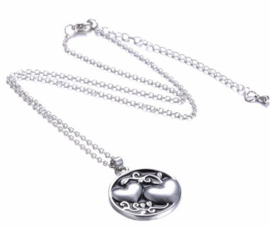 Vriendschaps ketting sister / zus hartjes