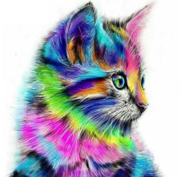 Diamond Painting multicolor kitten 30x30 cm