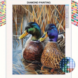 Diamond painting eenden - hobbypakket 35x25 cm