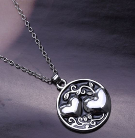 Vriendschaps ketting sister / zus hartjes