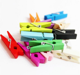 100 stuks mini knijpers 2,5 cm multicolor