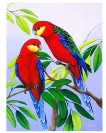 Diamond Painting - hobbypakket - Rosella 20x30 cm (vierkante steentjes)