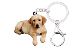 Sleutelhanger Acryl Labrador Retriever