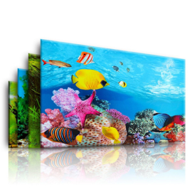 Aquarium achtergrond 3d poster 2-zijdig 40x60 cm