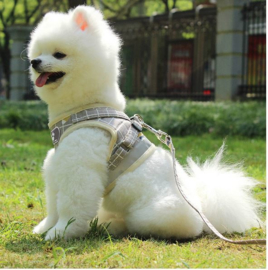 Honden tuigje grijs met riem maat M (borstomvang 42 cm)