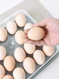 Opbergdoos voor 24 stuks eieren 30.5 x 23 x 5.5 cm