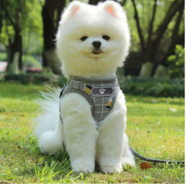 Honden tuigje grijs met riem maat M (borstomvang 42 cm)