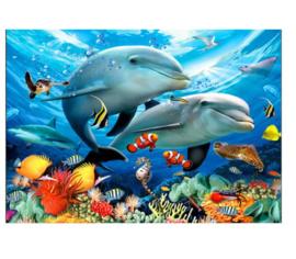 Diamond Painting dolfijnen 30x40 cm