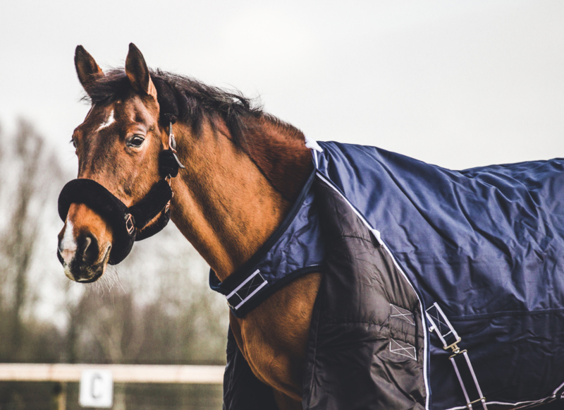 Knipoog partitie capsule paardendeken winterdeken