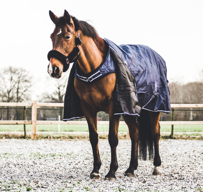 Superioriteit klinker abces paardendeken