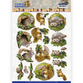 CD11649 3D vel A4 - Forest Animals - Amy Design