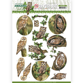 SB10487 Stansvel  A4 - Amazing Owls - Amy Design