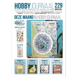 Hobbyjournaal nr 229