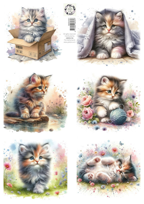 Knipvel A4 Friends for Life - lovely cats 1