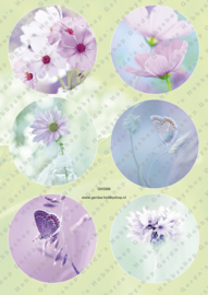 GH3369 Vintage vel - Cirkels Bloemen en Vlinders - Gerda's Hobbyshop