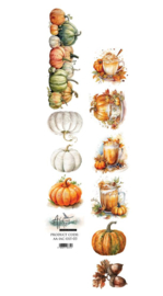 AA-IAC-EXT-03   Paper 30x5 cm – In Autumn Colors 03