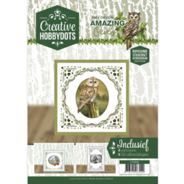 CH10006 Creative Hobbydots - Amazing Owls - Amy Design