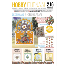 Hobbyjournaal 216 met knipvel