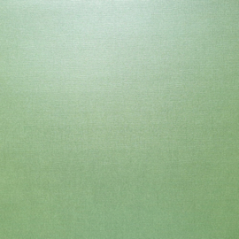 SCB180018   Textured Pearl Cardstock 30,5x30,5 cm CELADON 216 gsm - PAKKETPOST!!