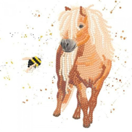 BMSA16 Bree Merryn - Sparkle Art Card Kit - Beau and Bumble