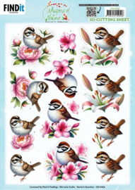 CD12438 3D Cutting Sheet - Berries Beauties - Whispers of Nature - Brown