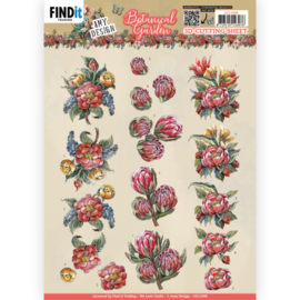 CD11908 3D Cutting Sheets - Amy Design - Botanical Garden - Red Protea