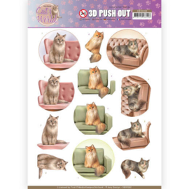 SB10382 Stansvel  A4 - Cats World- Amy Design