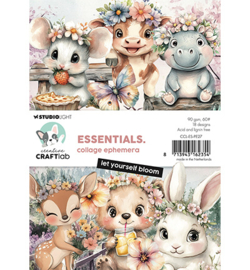 CCL-ES-PE27 - Ephemera Let yourself bloom Essentials nr.27