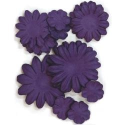 F613 Paper Flowers 2cm, 3.5cm & 5cm - 60stuks - Violet - Kaisercraft