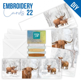 STDOPP022 Stitch and Do Cards 22 - Berries Beauties - Sturdy Winter