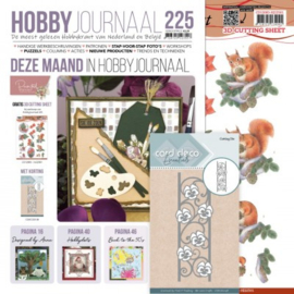 Hobbyjournaal 225