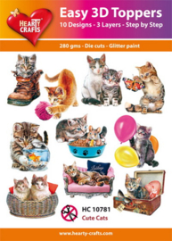 HC10781 Easy 3D Designs pakket Cute Cats