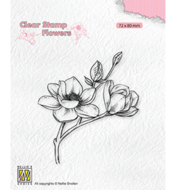FLO028 - Blooming branch magnolia - Nellie Snellen
