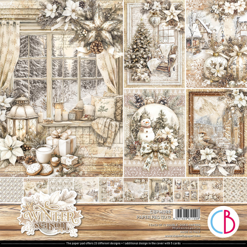 Winter Season 12x12 Inch Paper Pad (12pcs) (CBPM088) - PAKKETPOST!!!