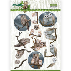 CD11563 3D Knipvel A4 - Amazing Owls - Amy Design