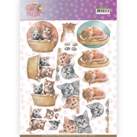 CD11368 3D vel A4 - Cats World- Amy Design
